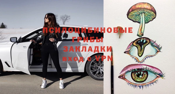ПСИЛОЦИБИНОВЫЕ ГРИБЫ Алзамай