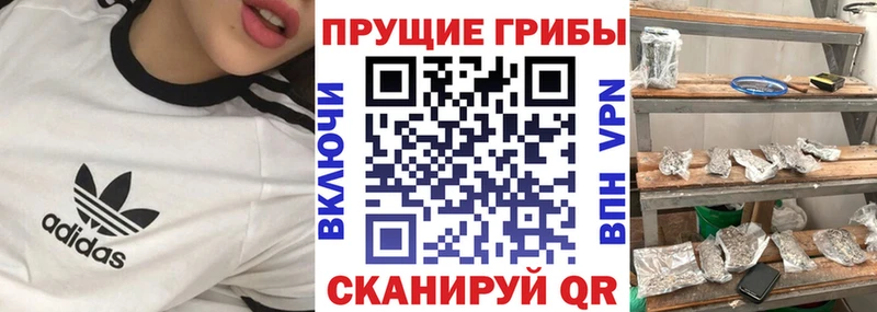 Псилоцибиновые грибы Magic Shrooms Беслан