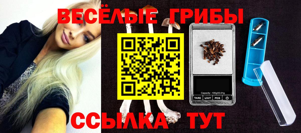Беслан  Галлюциногенные грибы Psilocybine cubensis  Вход с VPN 