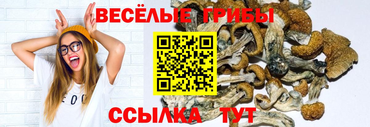 Псилоцибиновые грибы прущие грибы Беслан